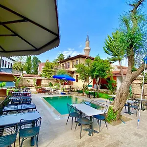 book here